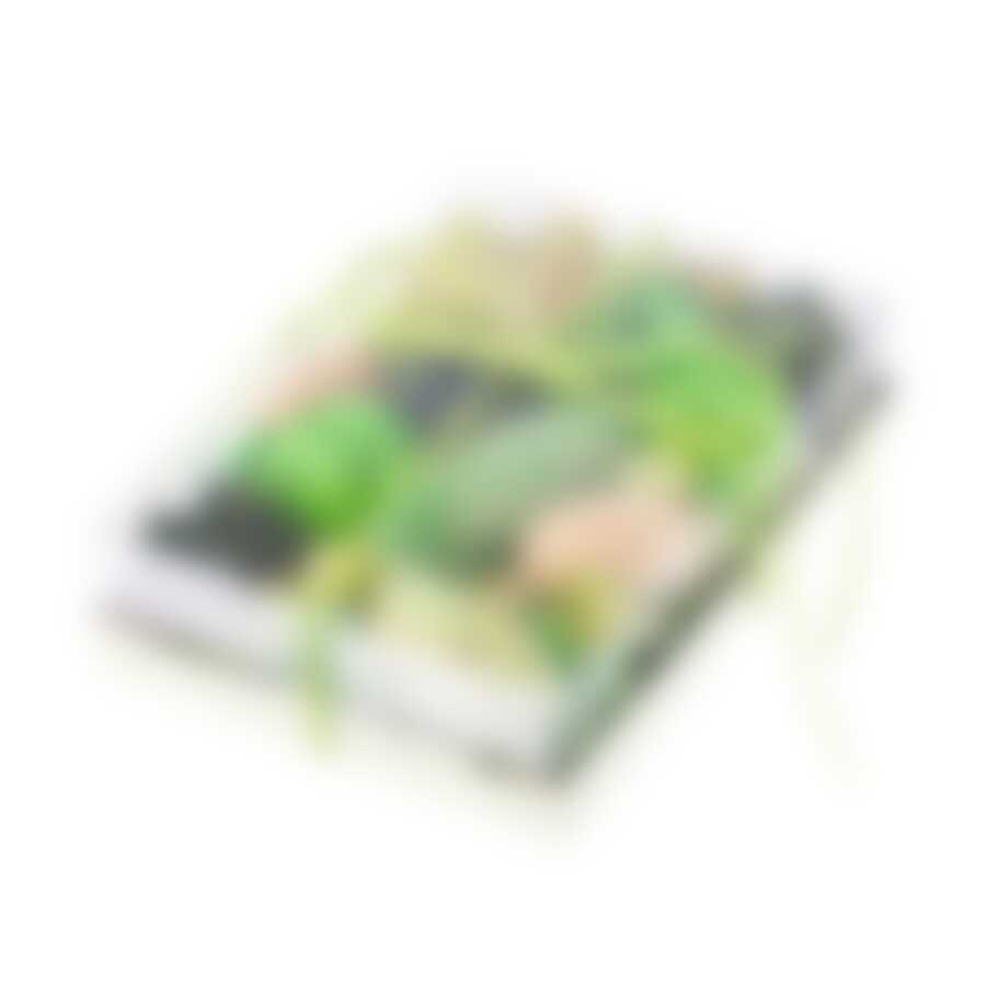 Набор ароматизированных сухоцветов яблоко 20x15см