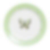 Тарелка закусочная (десертная) Attribute Summer Joy Red, D=19 см