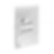 Пакеты прозрачные 10шт 23.5x14.5x6см