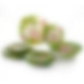 Столовый набор на 6 персон фрезия, 19 предметов