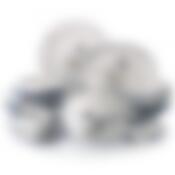 Сервиз столовый на 6 персон Moritz Zdekauer Geese, 25 предметов