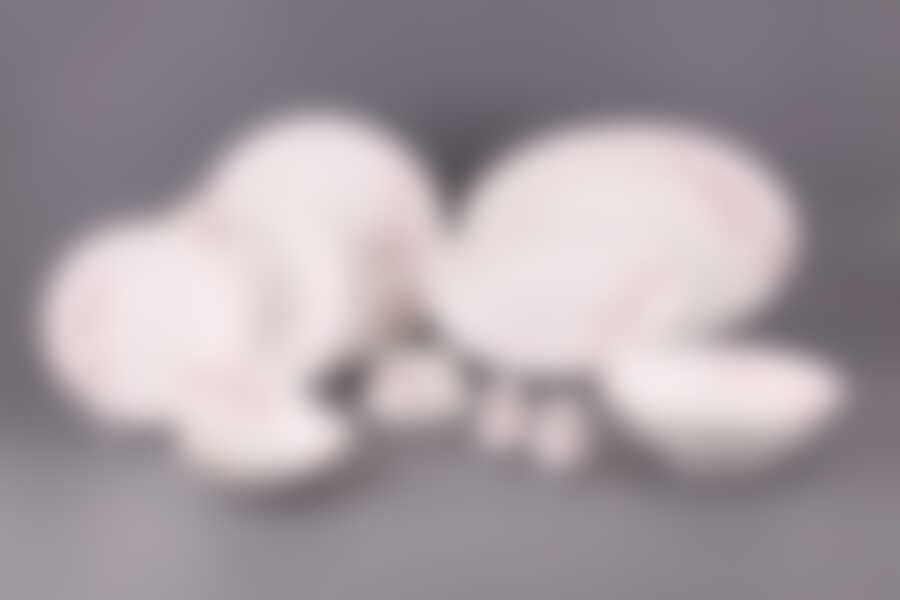 Столовый сервиз на 6 персон Lefard Sakura, 26 предметов