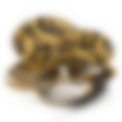 Столовый сервиз на 6 персон Lefard «Цветы», 23 предмета