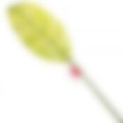 Лист декоративный LaSella, длина 71 см