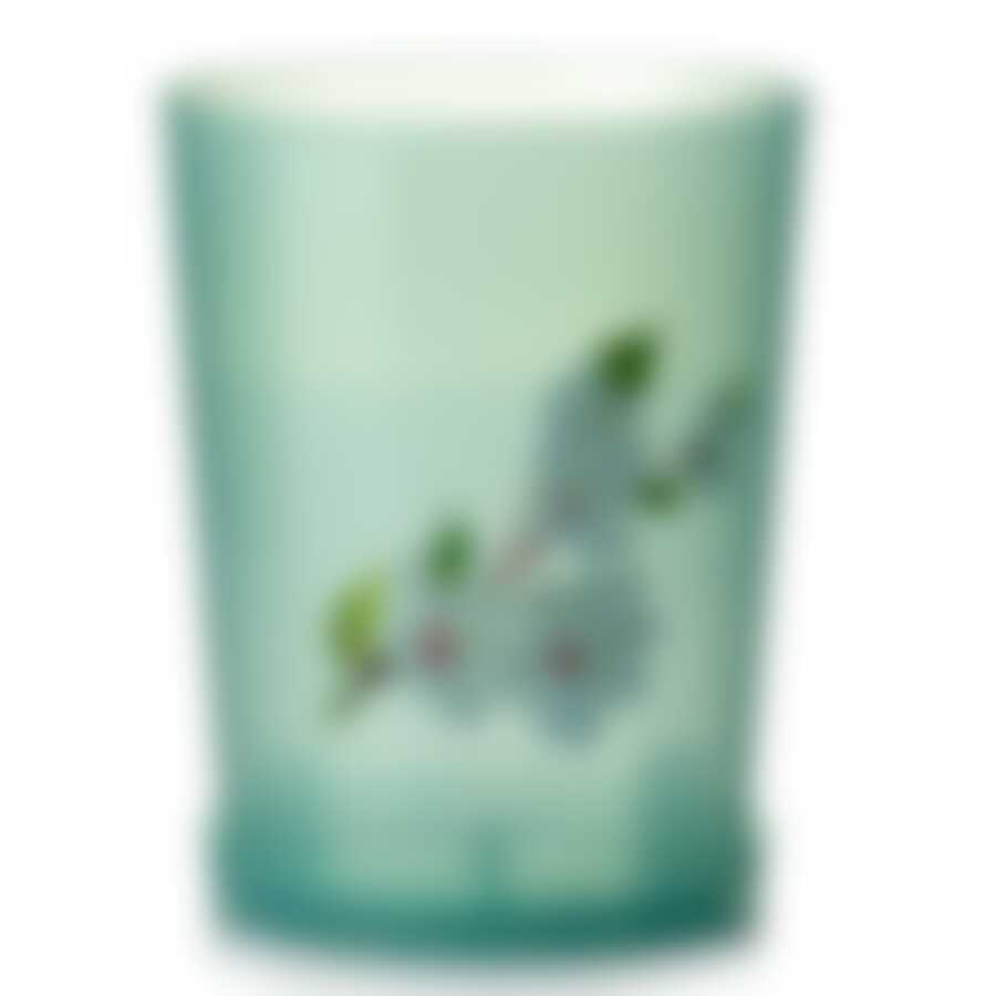 Горшок с поддоном для орхидеи "Соблазн", объем 3,5 л (зеленый, прозрачный)